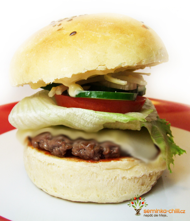 Domácí Hamburger 