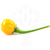 Aji Charapita