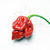 Trinidad Scorpion Butch Taylor