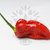 Naga Morich