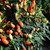 Thanksgiving Chilli