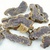 Zulu Biltong Moruga vzorek