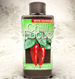 Chilli Focus