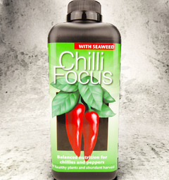 Chilli Focus