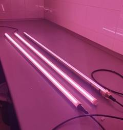 Profi LED osvětlen&iacute; pro předpěstov&aacute;n&iacute; paprik