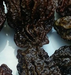 Chilli Nagabrain Chocolate semienka