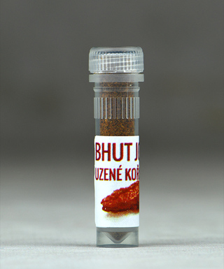 Bhut Jolokia korenie vzorka