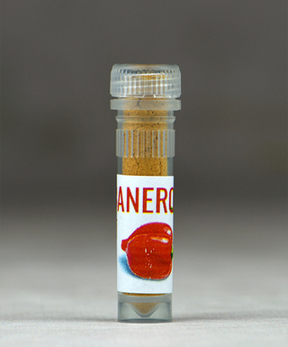 Habanero koření vzorek