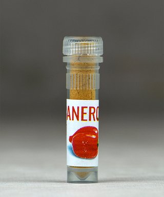 Habanero korenie vzorka