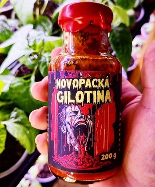 Novopacká gilotina